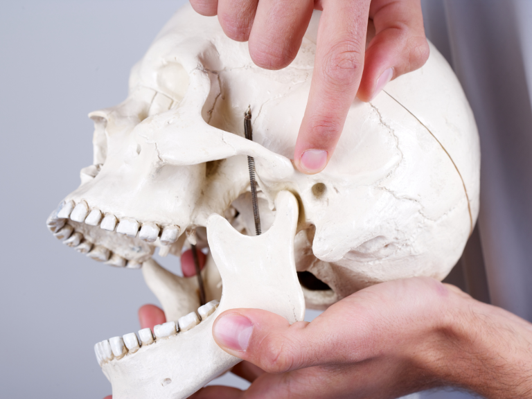 TMJ is an abbreviation for temporomandibular joint